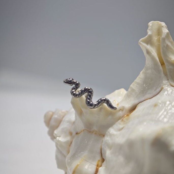 16G Titanio Impianto Grado Alt - Body Jewelry Implants recensione e prezzo