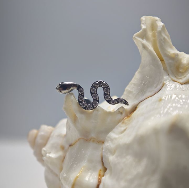 16G Titanio Impianto Grado Alt - Body Jewelry Implants recensione e prezzo